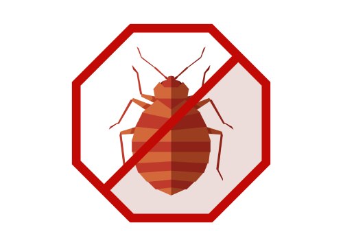Bed Bug Control 4 New Project 10 OdessaPestSolutions.com