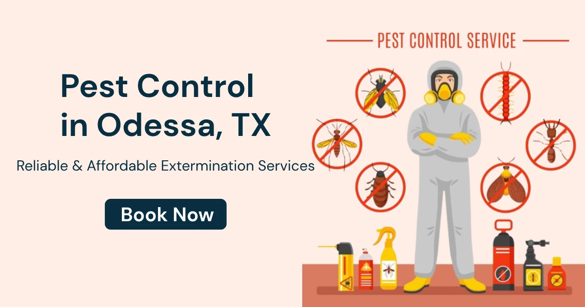 General Pest Control 1 Pest Control in Odessa TX OdessaPestSolutions.com